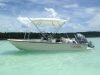 17FT BOSTON WHALER
