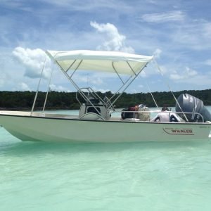 17FT BOSTON WHALER